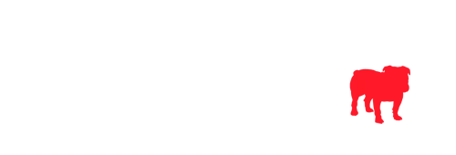 BullGuard
