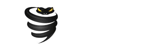 VyprVPN
